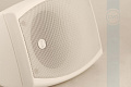 CVGaudio ODF408TW Настенная двухполосная акустическая система, цвет белый