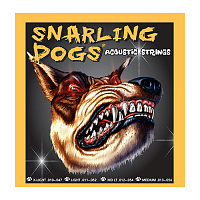 D'Andrea SDP10  Струны для акустической гитары, серия Snarling Dogs, калибр: 10 - 14 - 23 - 30 - 39 - 47, обмотка фосфористая бронза, натяжение лёгкое