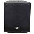 Peavey P2 Powered Line Array System Портативная двухполосная акустическая система, пиковая мощность 250 Вт