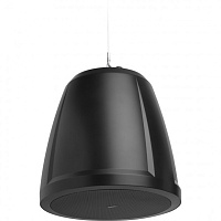 QSC AD-P.SUB-BK  6.5" сабвуфер с двойной катушкой, трансформатор 70/100 В с переключателем на 4 Ом, цвет черный 