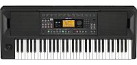 KORG EK-50 синтезатор с автоаккомпанементом, 61 клавиша, полифония 64 голоса, подставка для нот