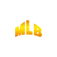MLB SM-600 WIRELESS CONTROLLER беспроводной пульт управления для генератора снега MLB SM-600 (рабочее напряжение 5В)