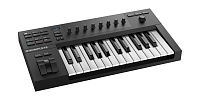Native Instruments KOMPLETE KONTROL A25  25 клавишная полувзвешенная динамическая MIDI клавиатура