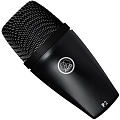 AKG P2 инструментальный микрофон 