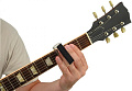 PLANET WAVES PWGS-DSM Стеклянный слайд, средний