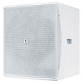 Audac BASO15/W 15" пассивный сабвуфер 700 Вт 8 Ом