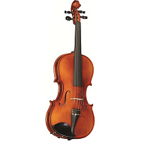 Strunal 16W 4/4 With Outfit Скрипка студенческая в футляре, со смычком
