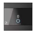 AUDAC WP220/B Панель удаленного Bluetooth-приемника универсальная, цвет черный