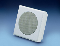 Penton SENTRY6/STC настенная акустическая система