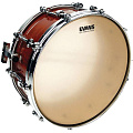 EVANS CT14S  Пластик 14"