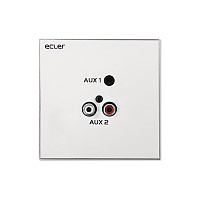 Ecler WPaCNX-JRCA Настенная панель с разъемами 2 х RCA "мама" и мини-джек 3.5 мм
