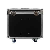 PROAUDIO Flight Case for GOLDEN EAGLE BSW-20R  Кейс для GOLDEN EAGLE BSW-20R