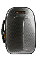 BAM TREK3027SSC Кейс для кларнета серебристый Bb NEW TREKKING Bb Clarinet/Clarinette Sib