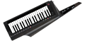 KORG RK100S-2 BK программируемый аналоговый синтезатор-клавитара