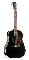 Norman PROTEGE B18 Black+Кейс акустическая гитара Dreadnought, цвет - чёрный