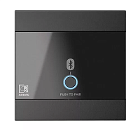 AUDAC WP220/B Панель удаленного Bluetooth-приемника универсальная, цвет черный