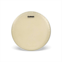 EVANS CS14SS  Пластик 14"