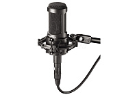 Audio-Technica AT2050 Микрофон студийный конденсаторный