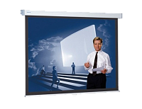 Projecta SlimScreen 125x125cm Matte White S  10200061 Экран настенный