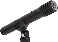 Tascam TM-60 Микрофон инструментальный конденсаторный кардиоидный