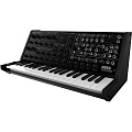KORG MS-20 FS BLACK аналоговый синтезатор