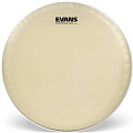 EVANS CT14SS  Пластик 14"