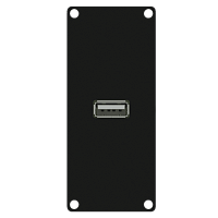 Caymon CASY161/B Модуль CASY с гнездом USB 2.0 A с обеих сторон